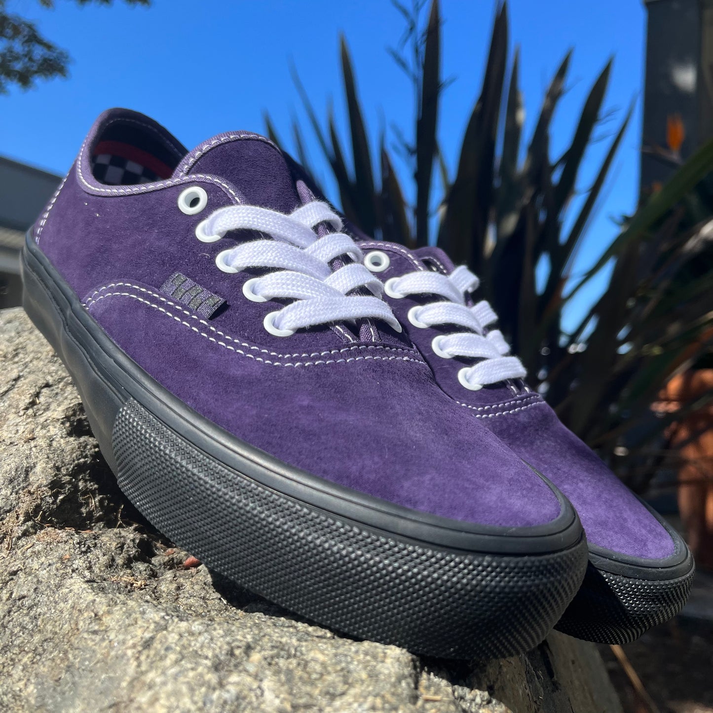 Vans purple authentic Clearance